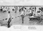 Рыбная ловля на Дону, начало 20-го века
