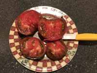 Плоды томатов, выращенные на приусадебном участке в США, 2023г