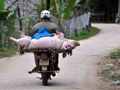 Вьетнамские мотоциклисты-виртуозы
