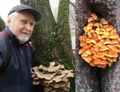 Владимир Лях и грибы на московской улице Красного Маяка. Ноябрь 2019г