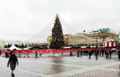 Главная ёлка новогоднего фестиваля в Москве. Манежная площадь, декабрь 2019г