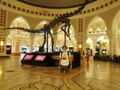 Скелет динозавра  в торгово-развлекательном  центре Дубай молл. Июнь 2021г