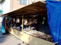 Морские сувениры продаются в Седово повсеместно
