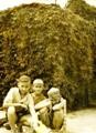 1964г, Я посредине, справа брат Виталик из Москвы, слева Валера Таценко, его брат по матери