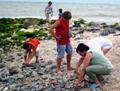 Время собирать камни. Муниципальный пляж в Седово