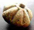 Кистень( 8-10 век н.э.), найден на территории с. Обрыв, материал - свинец